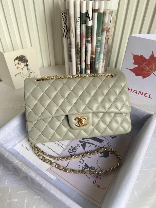 Chanel Handbags 459